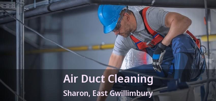 Air Duct Cleaning Sharon, East Gwillimbury - ON