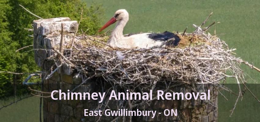 Chimney Animal Removal East Gwillimbury - ON