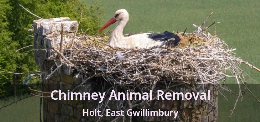 Chimney Animal Removal Holt, East Gwillimbury - ON