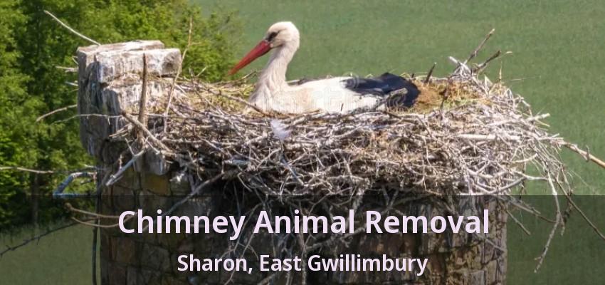 Chimney Animal Removal Sharon, East Gwillimbury - ON