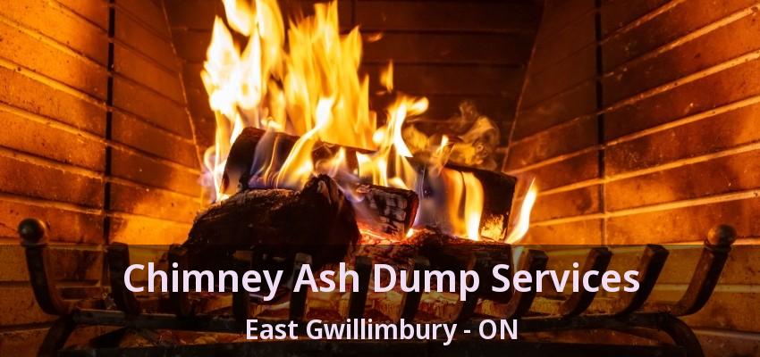 Chimney Ash Dump Services East Gwillimbury - ON