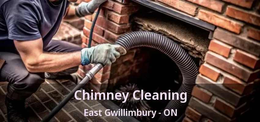 Chimney Cleaning East Gwillimbury - ON