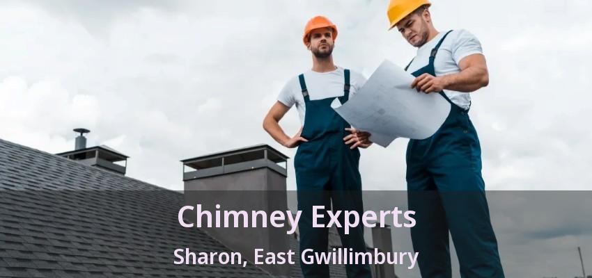 Chimney Experts Sharon, East Gwillimbury - ON