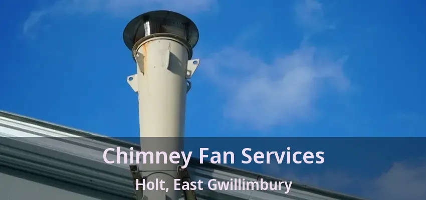Chimney Fan Services Holt, East Gwillimbury - ON