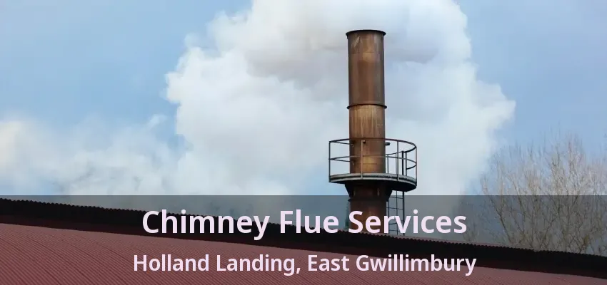 Chimney Flue Services Holland Landing, East Gwillimbury - ON