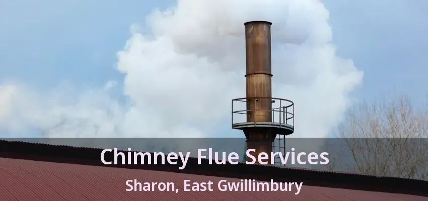 Chimney Flue Services Sharon, East Gwillimbury - ON