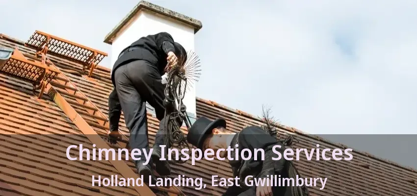Chimney Inspection Services Holland Landing, East Gwillimbury - ON