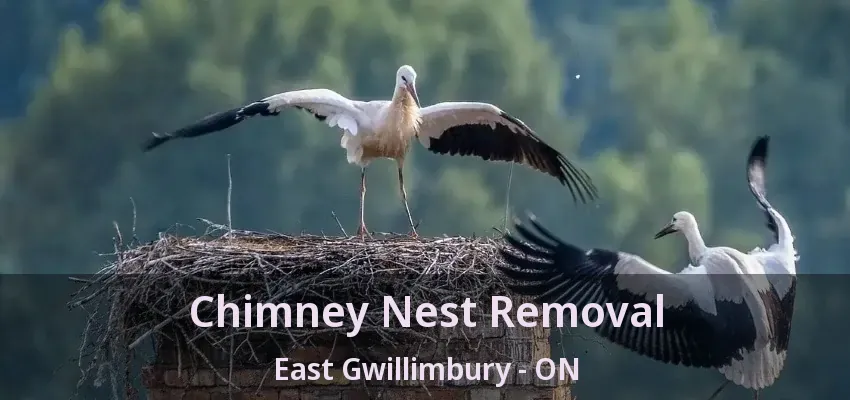 Chimney Nest Removal East Gwillimbury - ON