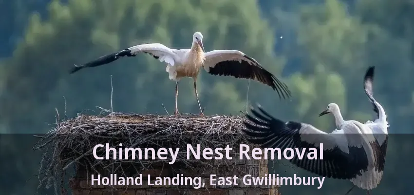 Chimney Nest Removal Holland Landing, East Gwillimbury - ON