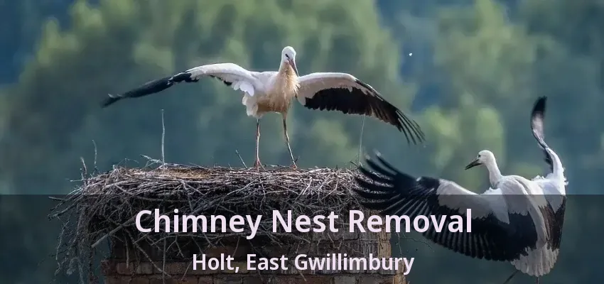 Chimney Nest Removal Holt, East Gwillimbury - ON