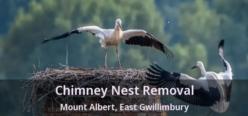 Chimney Nest Removal Mount Albert, East Gwillimbury - ON