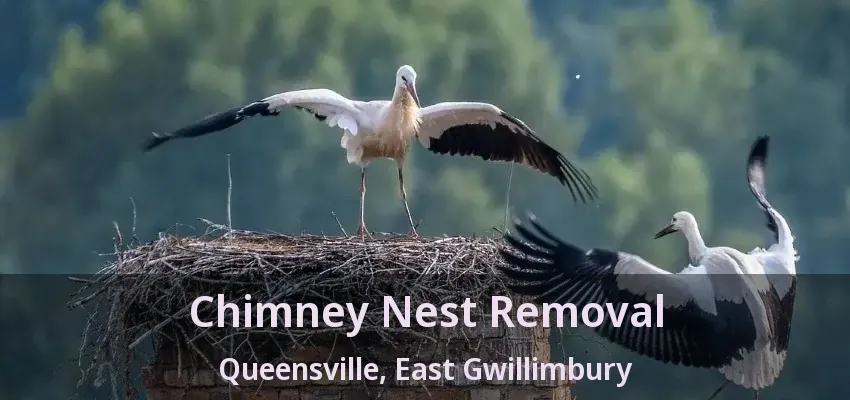 Chimney Nest Removal Queensville, East Gwillimbury - ON