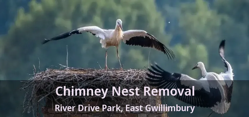 Chimney Nest Removal River Drive Park, East Gwillimbury - ON