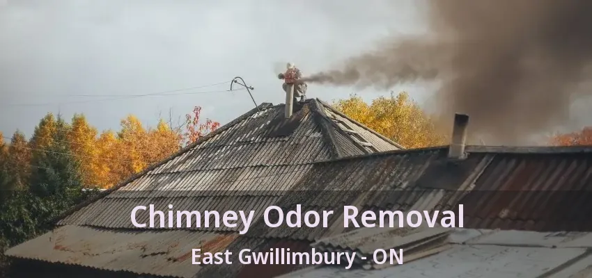 Chimney Odor Removal East Gwillimbury - ON