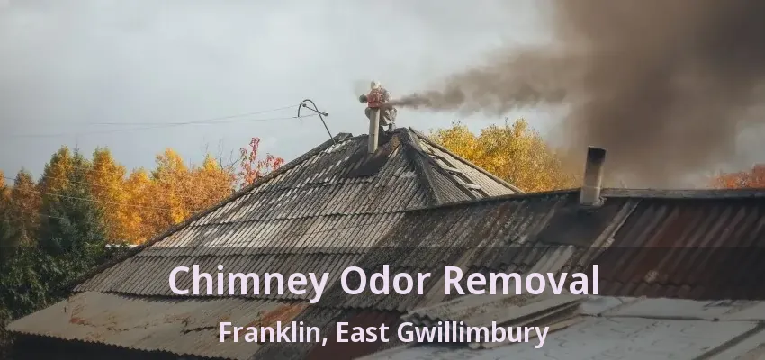 Chimney Odor Removal Franklin, East Gwillimbury - ON
