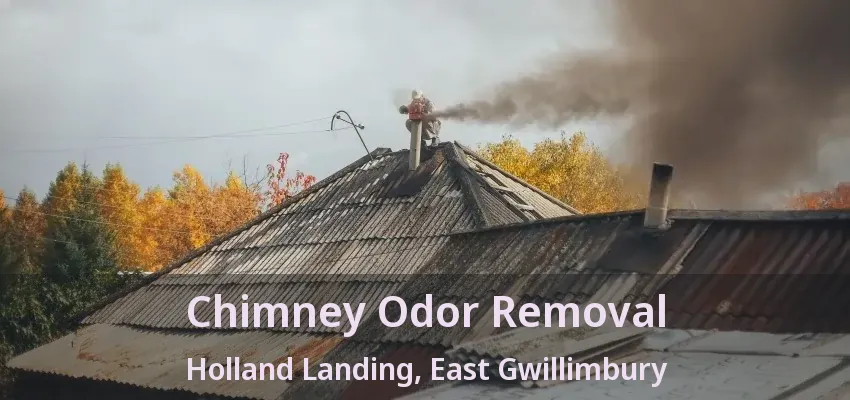 Chimney Odor Removal Holland Landing, East Gwillimbury - ON