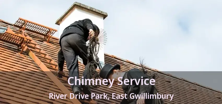 Chimney Service River Drive Park, East Gwillimbury - ON