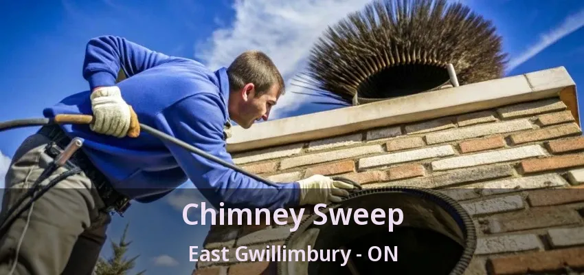 Chimney Sweep East Gwillimbury - ON