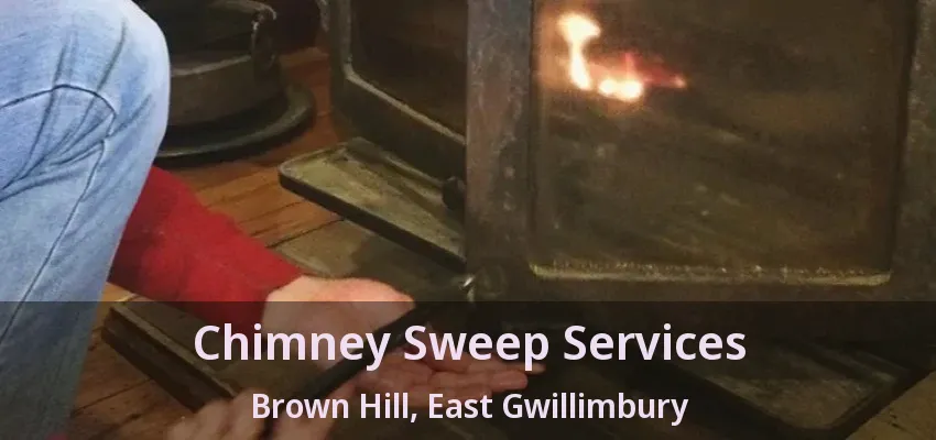 Chimney Sweep Services Brown Hill, East Gwillimbury - ON