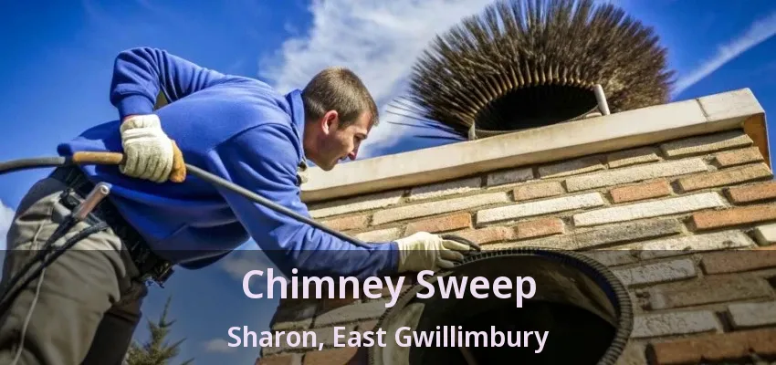 Chimney Sweep Sharon, East Gwillimbury - ON