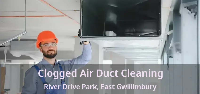 Clogged Air Duct Cleaning River Drive Park, East Gwillimbury - ON