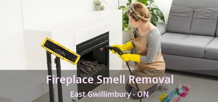 Fireplace Smell Removal East Gwillimbury - ON