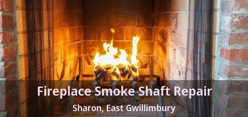 Fireplace Smoke Shaft Repair Sharon, East Gwillimbury - ON