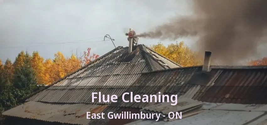 Flue Cleaning East Gwillimbury - ON