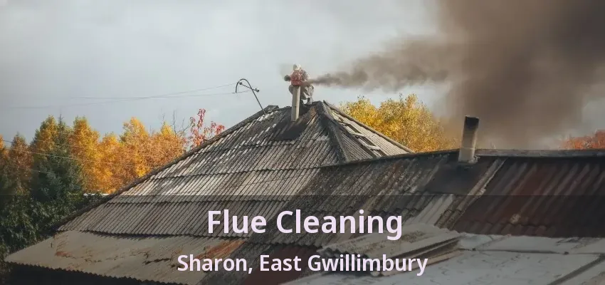 Flue Cleaning Sharon, East Gwillimbury - ON