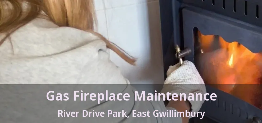 Gas Fireplace Maintenance River Drive Park, East Gwillimbury - ON