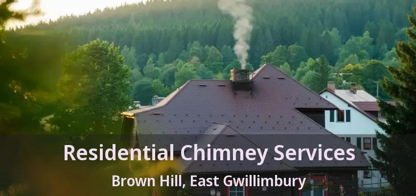 Residential Chimney Services Brown Hill, East Gwillimbury - ON