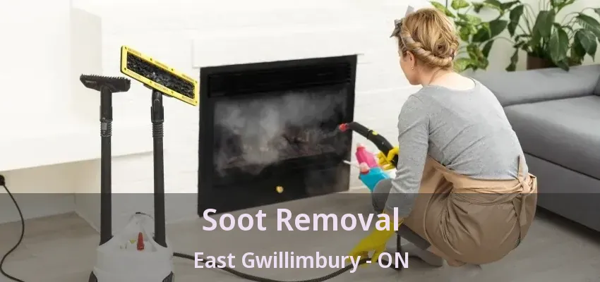 Soot Removal East Gwillimbury - ON
