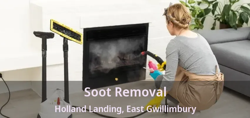 Soot Removal Holland Landing, East Gwillimbury - ON