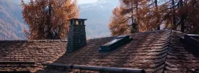 Chimney Animal Removal East Gwillimbury